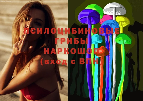 винт Белокуриха