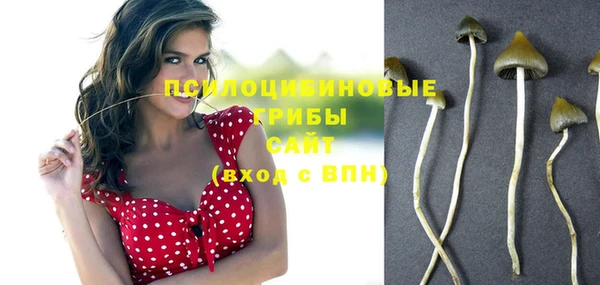 винт Белокуриха