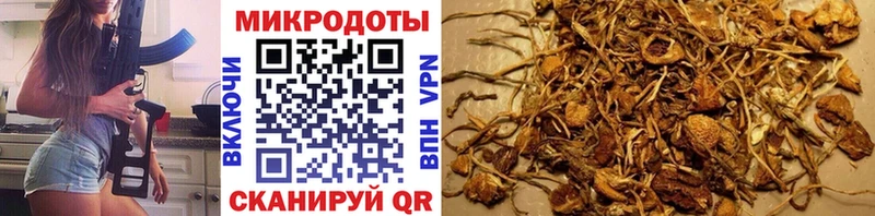 Псилоцибиновые грибы ЛСД  kraken ССЫЛКА  Волжский 